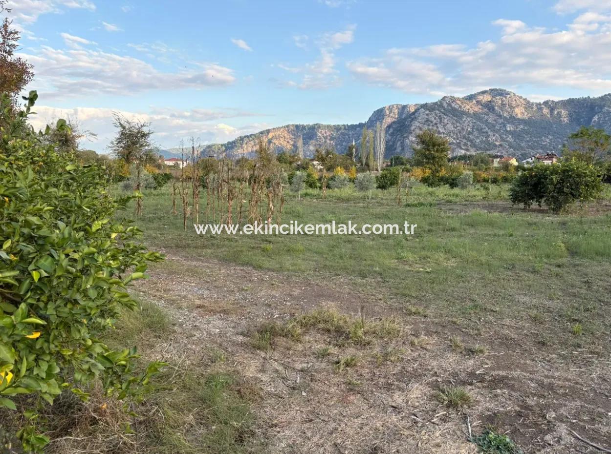 7.450M2 Land Zum Verkauf In Der Nähe Des Zentrums Von Dalyan