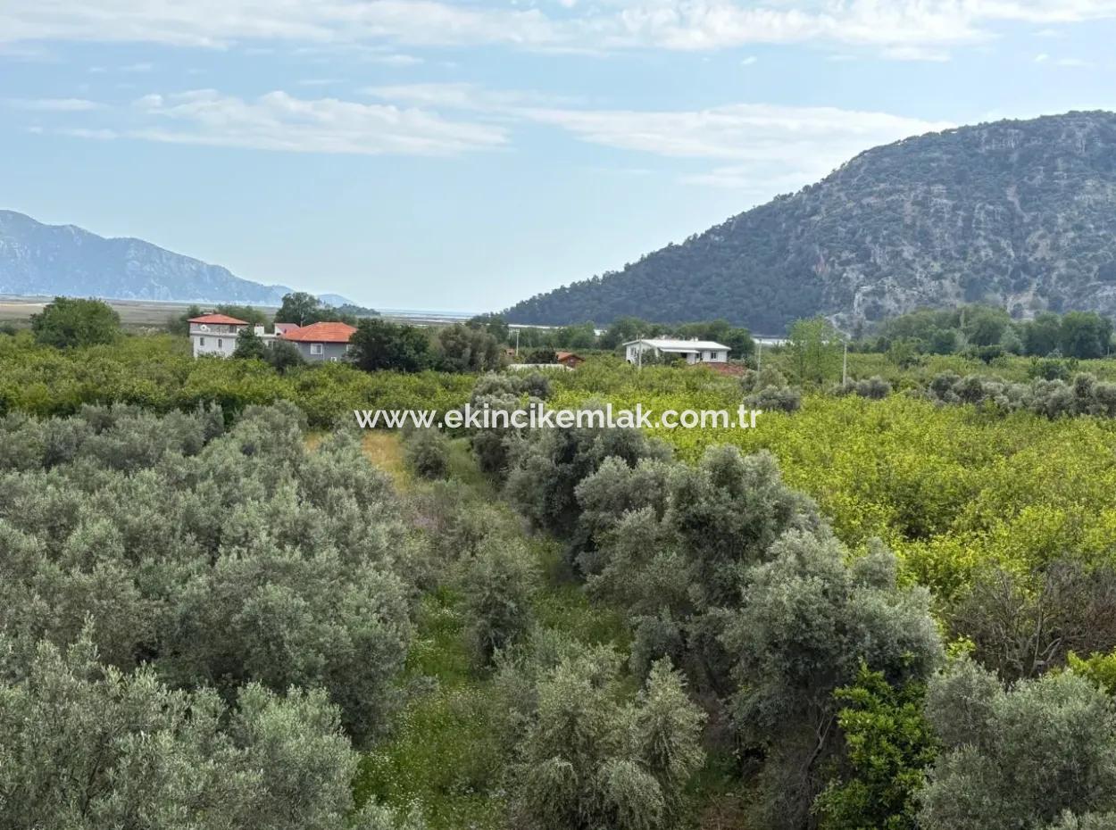 1.721M2 Grundstück Zum Verkauf Im Dorf Çandır Mit Meer- Und Seeblick