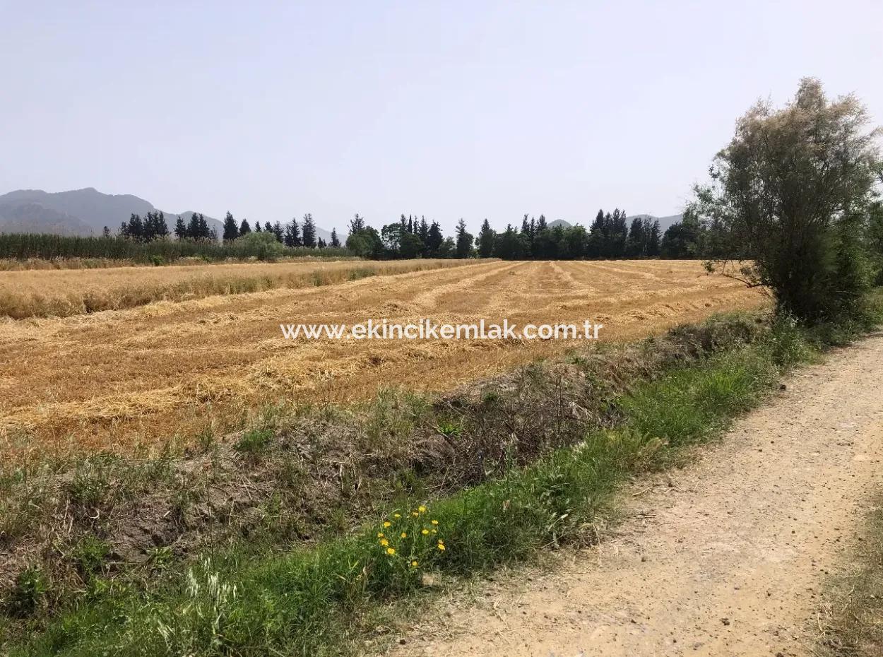 Ackerland Zum Verkauf 39 Hektar In Eskikoy