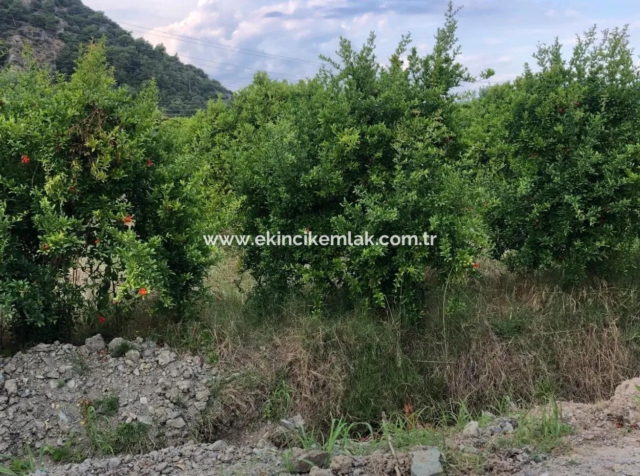 722M2 Grundstück Zum Verkauf In Dalyan Gülpınar Zum Verkauf