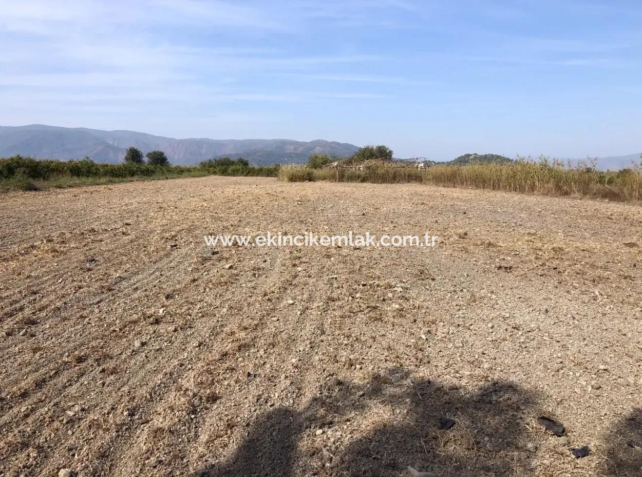 Ackerland Zu Verkaufen In Esköy 8500M2 Ackerland Zu Verkaufen