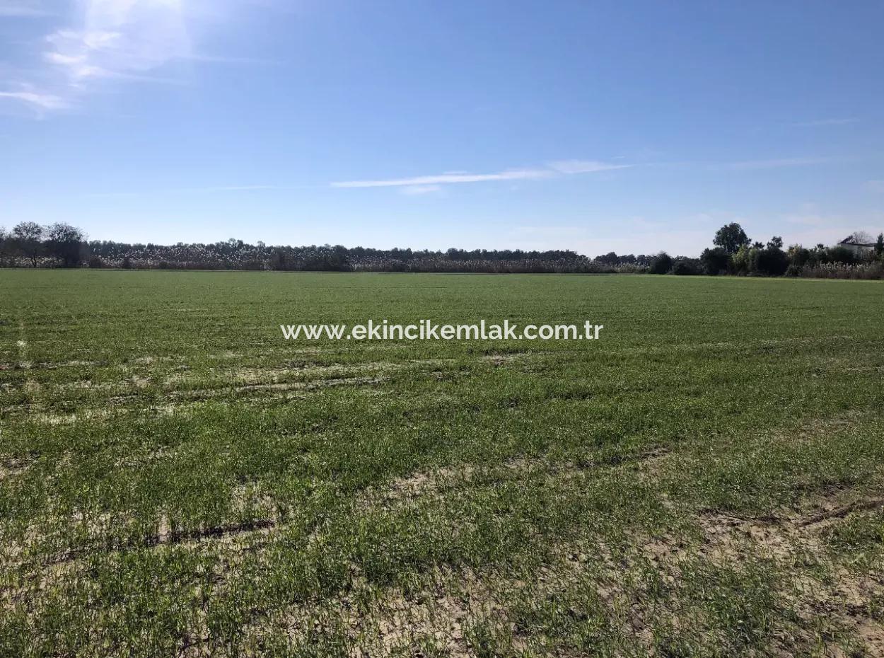 Land Zu Verkaufen In Sar'germede 30.000M2 Land Zum Verkauf Mit Meerblick