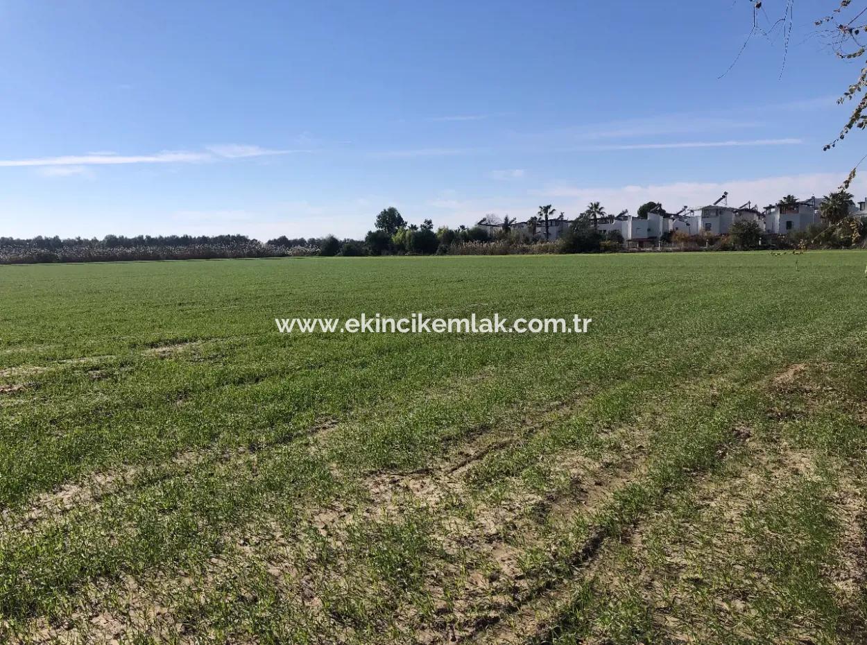 Land Zu Verkaufen In Sar'germede 30.000M2 Land Zum Verkauf Mit Meerblick