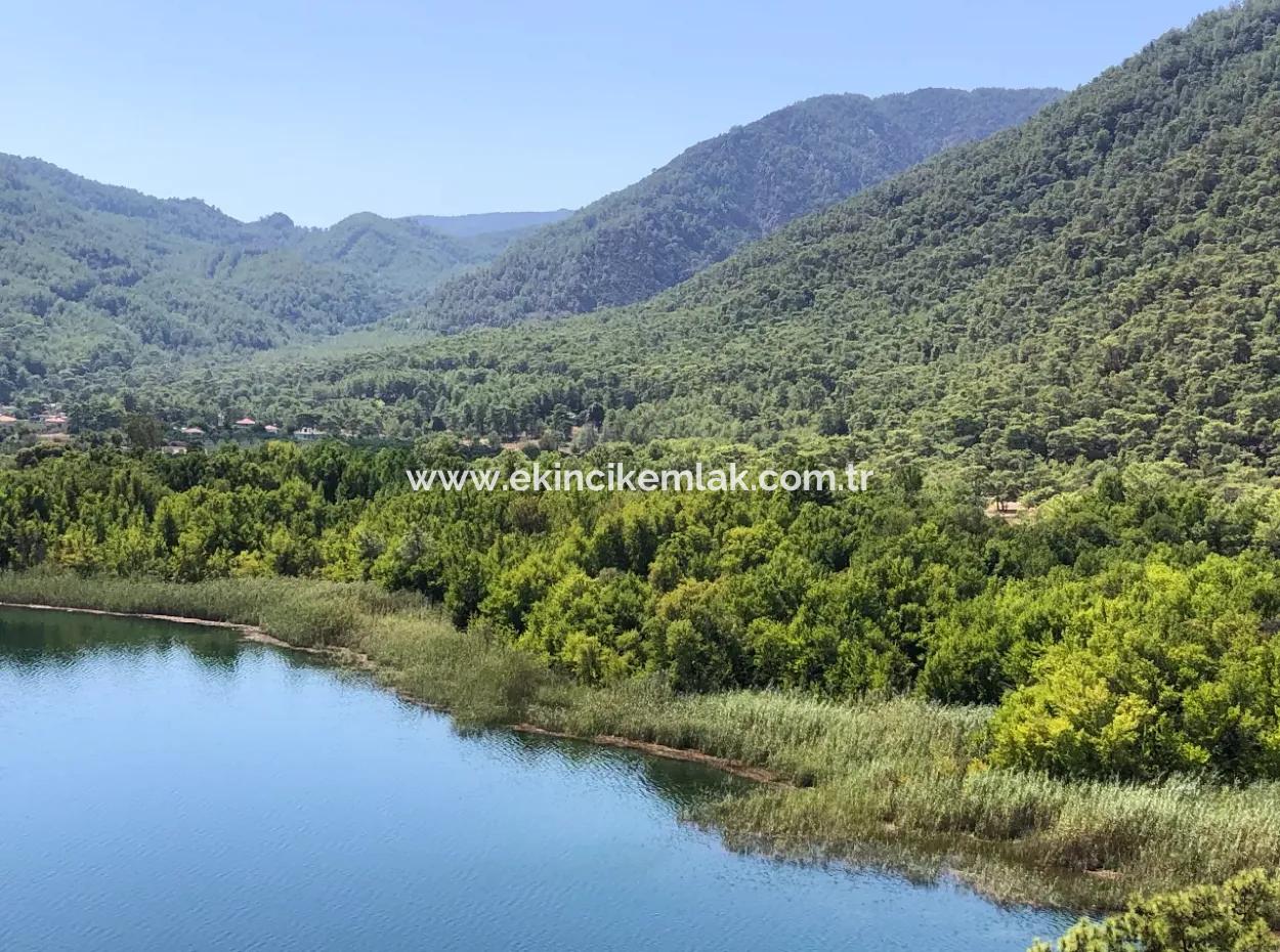 Sultaniye Land For Sale Near 10577M2 Lake Land For Sale