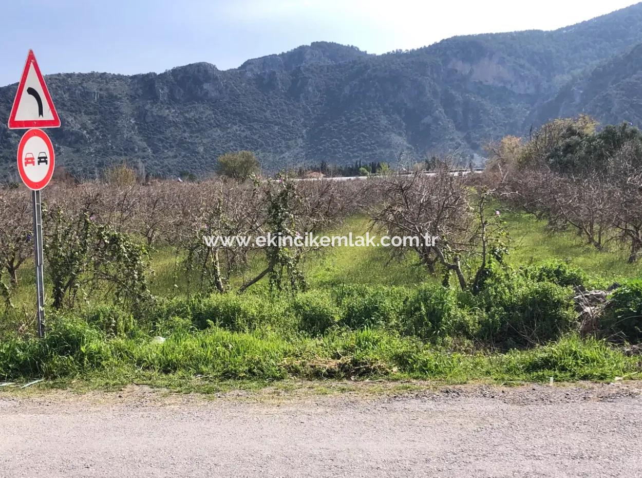 5500M2 Grundstück Zu Verkaufen In Dalyan
