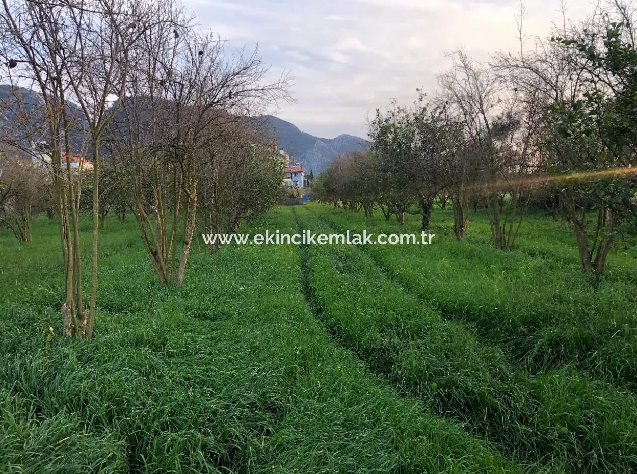 Bogenschützen Grundstück Zu Verkaufen 4707M2 Land Zu Verkaufen