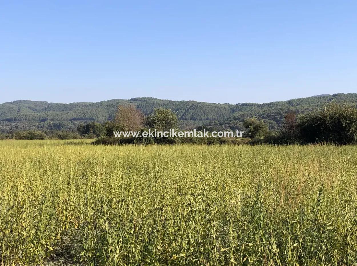 Field Zu Verkaufen In Ak'apinar 100 Acres Zu Verkaufen