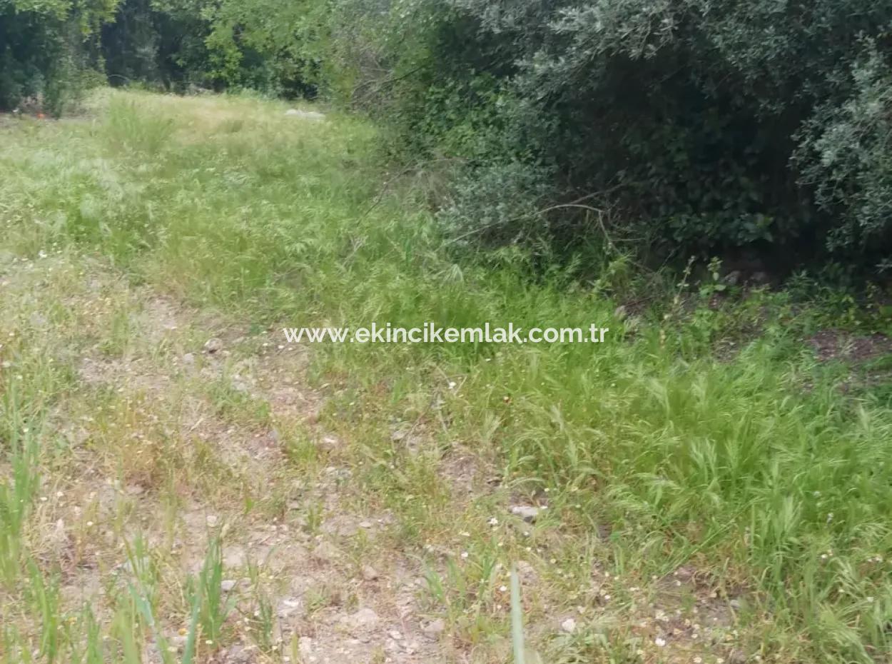 Grundstücke Zu Verkaufen In Amlida