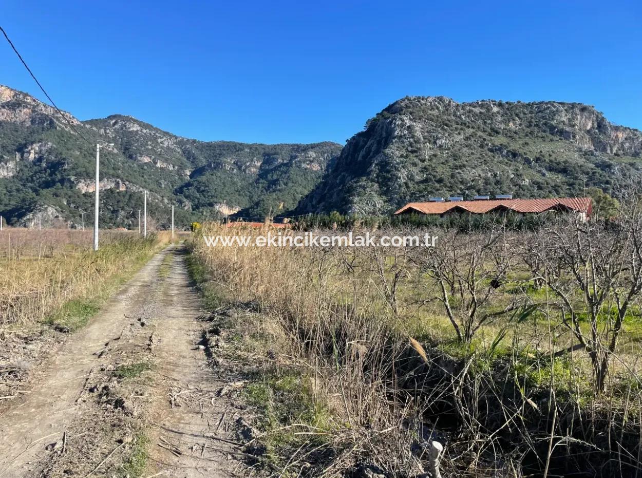 Dalyan Iztuzu Road Zero 5216M2 Feldgrundstück Zum Verkauf