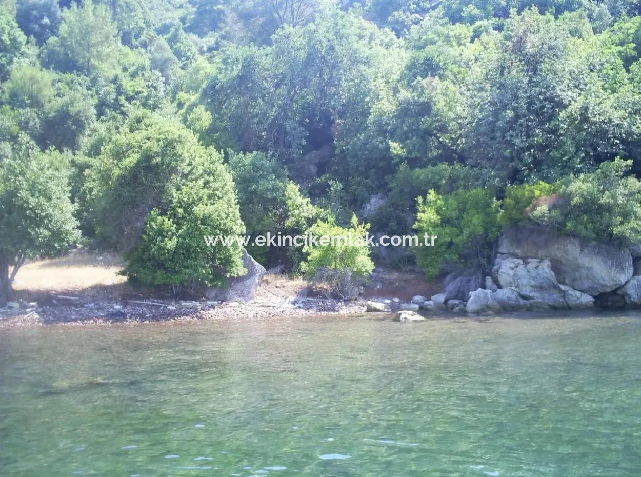 Marmaris Island Dorf Am Meer 4000M2 Land Zum Verkauf Marmaris Schnäppchen Land Zum Verkauf Auf Dem Seeweg