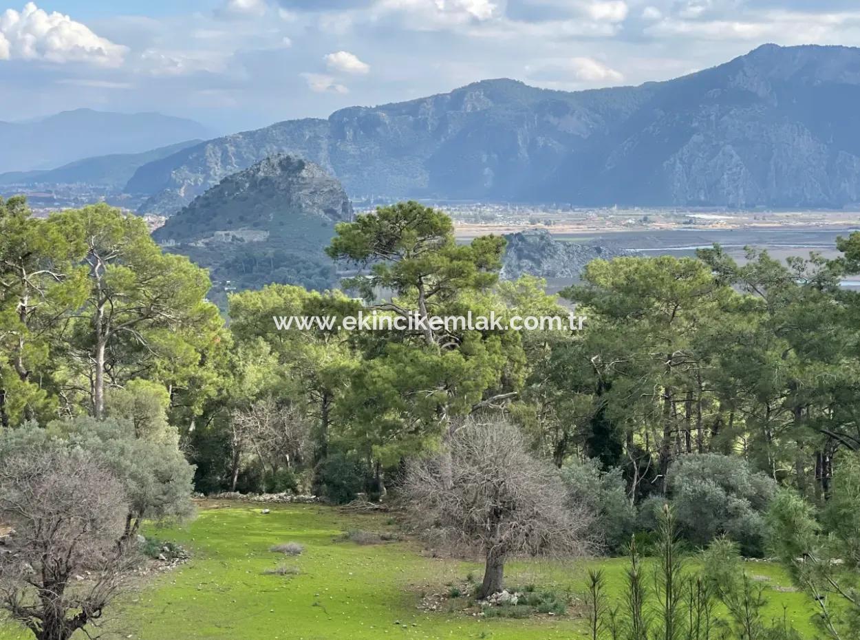 10.707M2 2B Feld Zu Verkaufen Mit Meerblick See In Çandır