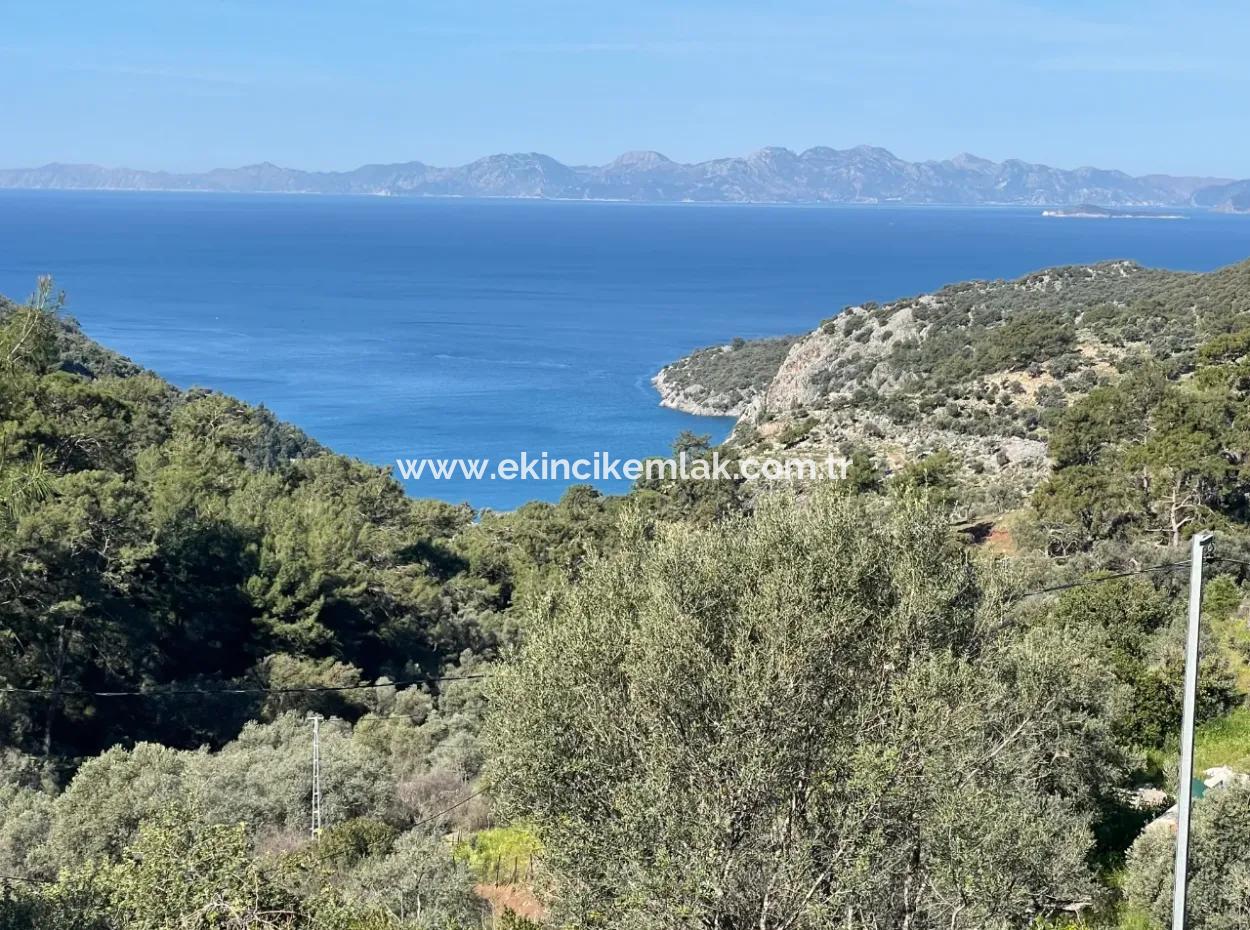 Dorfhaus Zum Verkauf Auf 4.400M2 Grundstück Mit Vollem Meerblick In Gökbel
