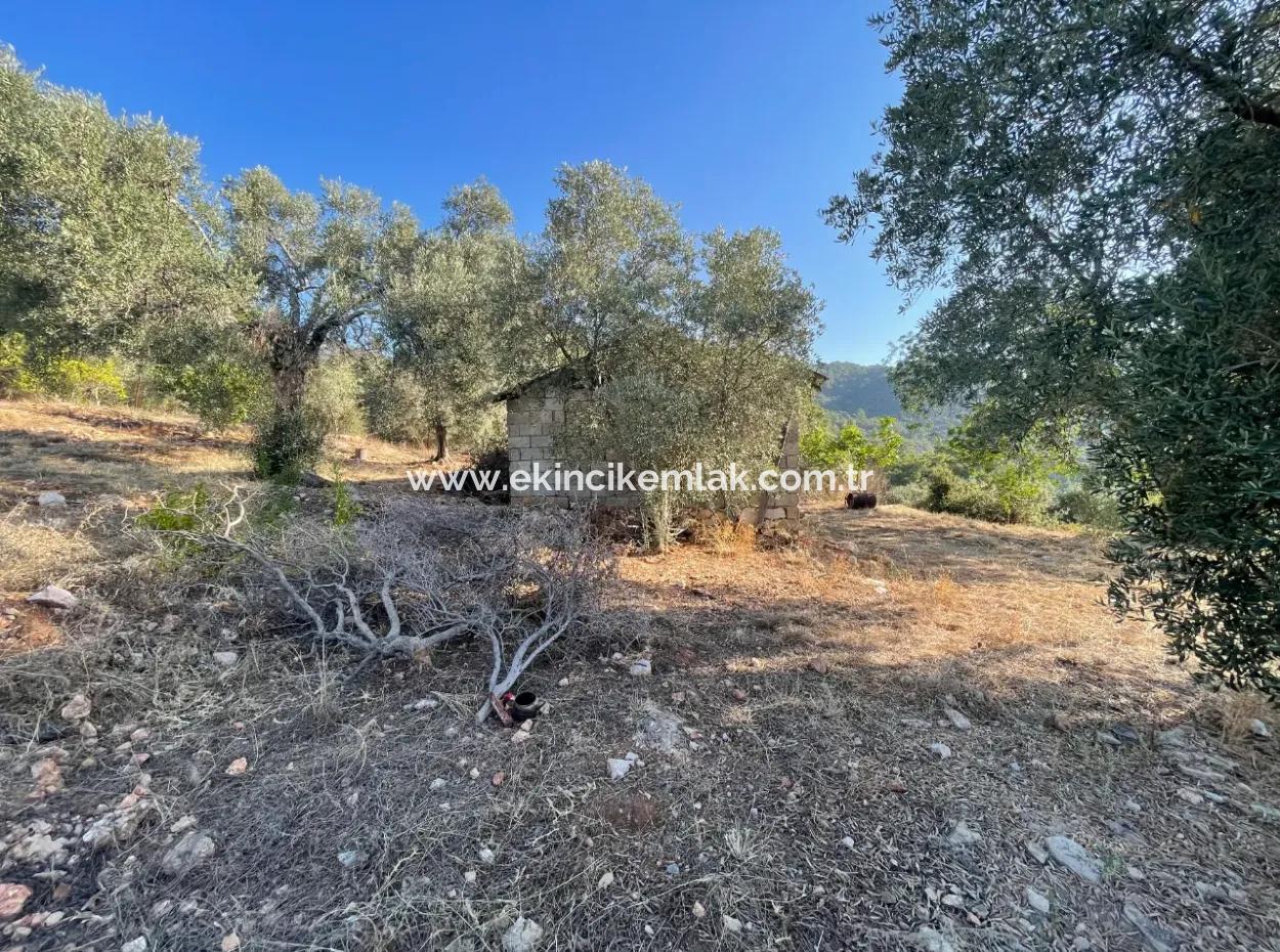 Çandır Voller Meer- Und Seeblick 500M2 2B Feld Zu Verkaufen