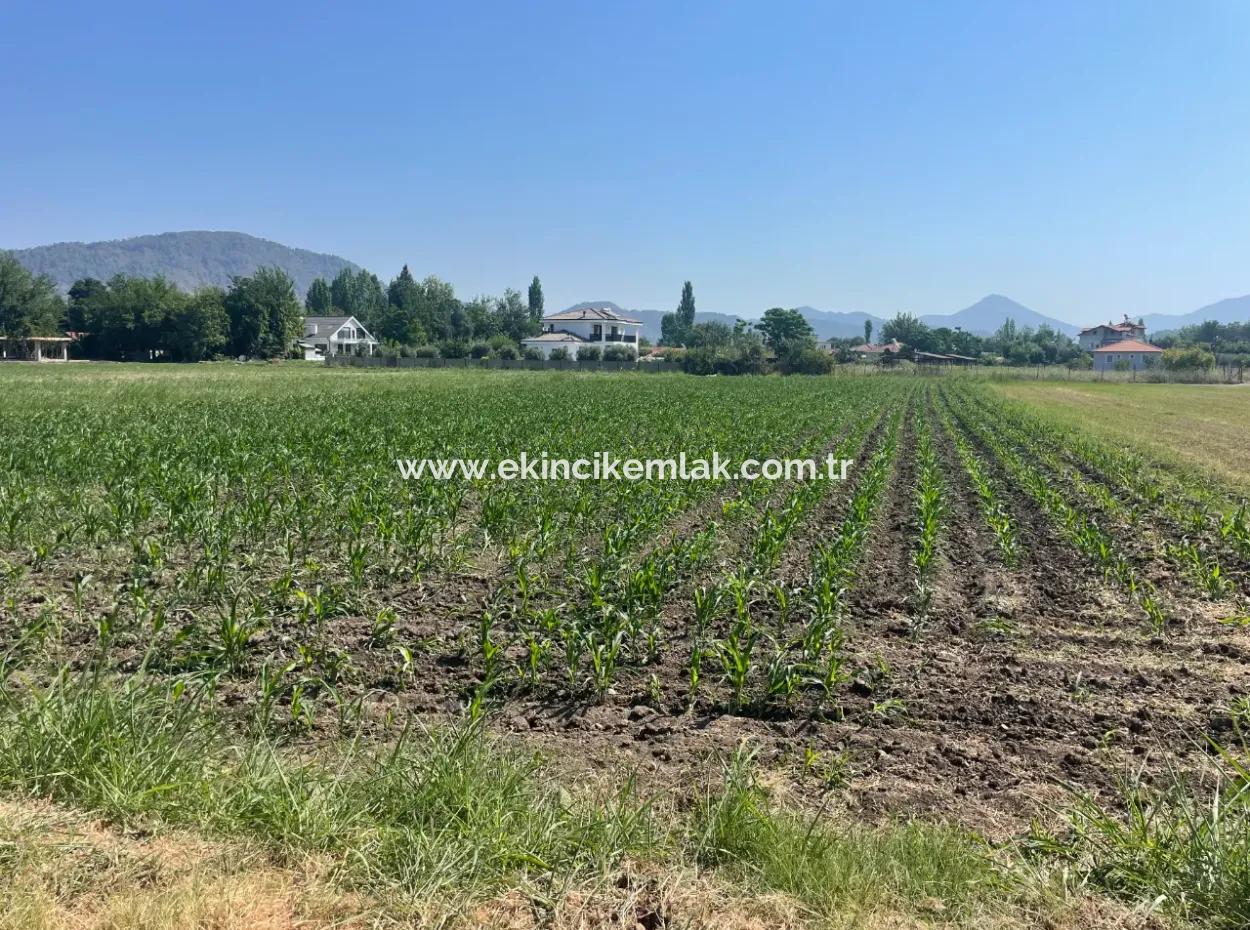 Grundstück Zum Verkauf Von 2715M2 Im Bebauten Gebiet Des Dorfes In Okçular