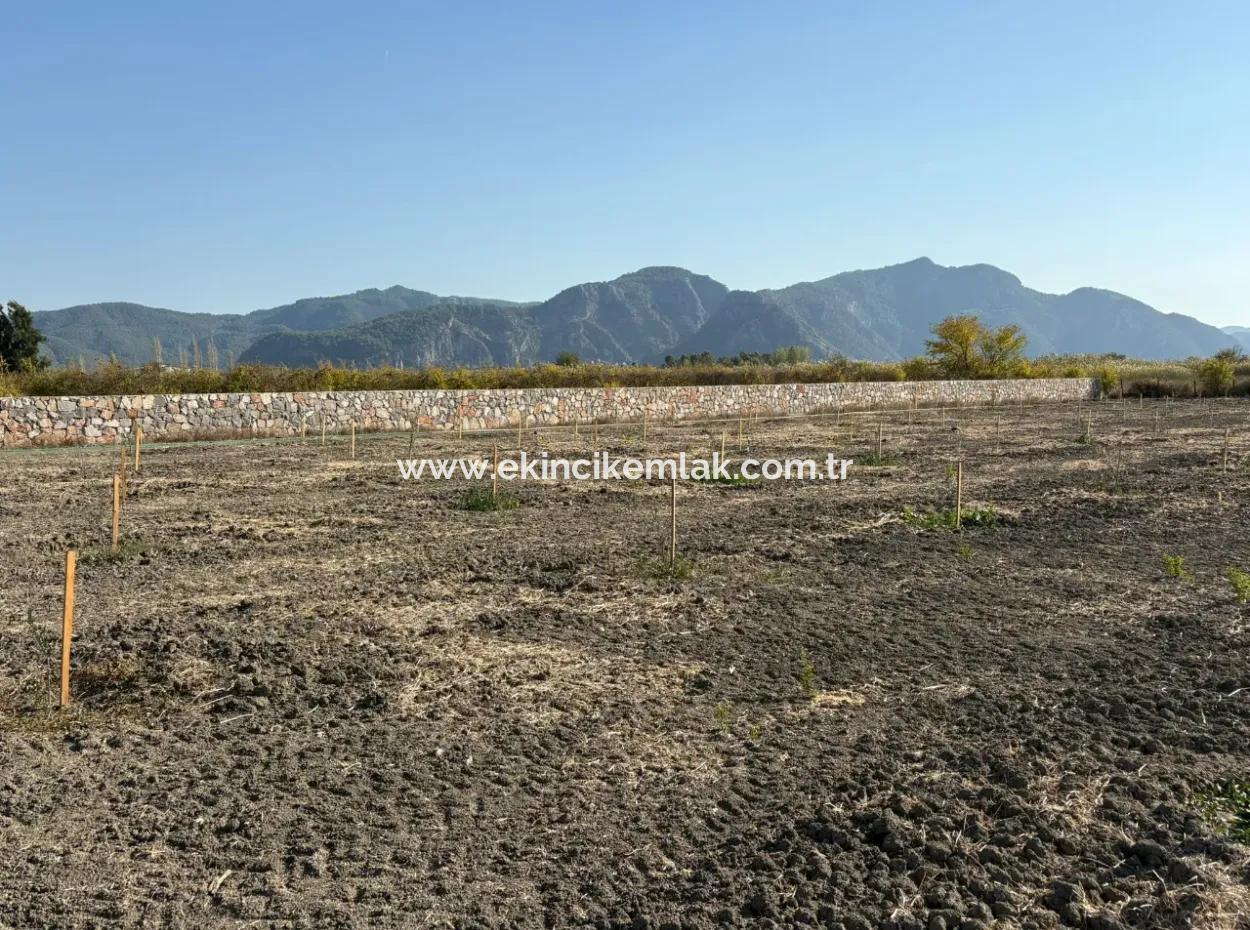 19.663M2 Ackerland Und Haus Zum Verkauf In Eskiköy