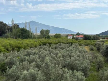 1.721M2 Grundstück Zum Verkauf Im Dorf Çandır Mit Meer- Und Seeblick