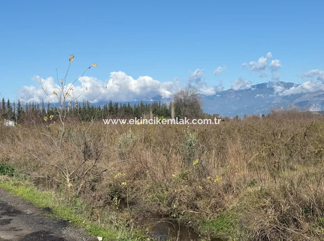 23,000M2 Detached Field Garden For Sale In Tepearasin,