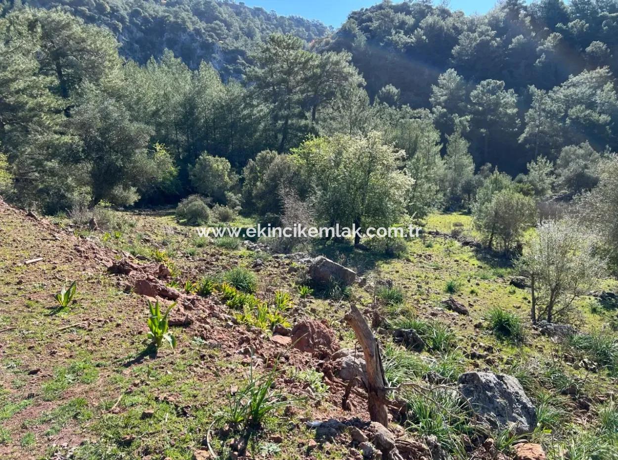 Land For Sale In Nature And Forest In Gökbel