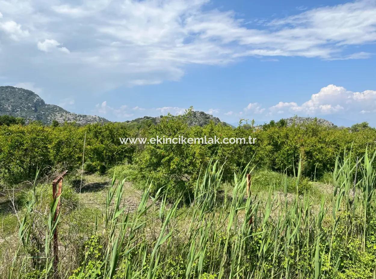 5,100M2 Land For Sale In Dalyan Maraş Area With 5% Residential Zoning