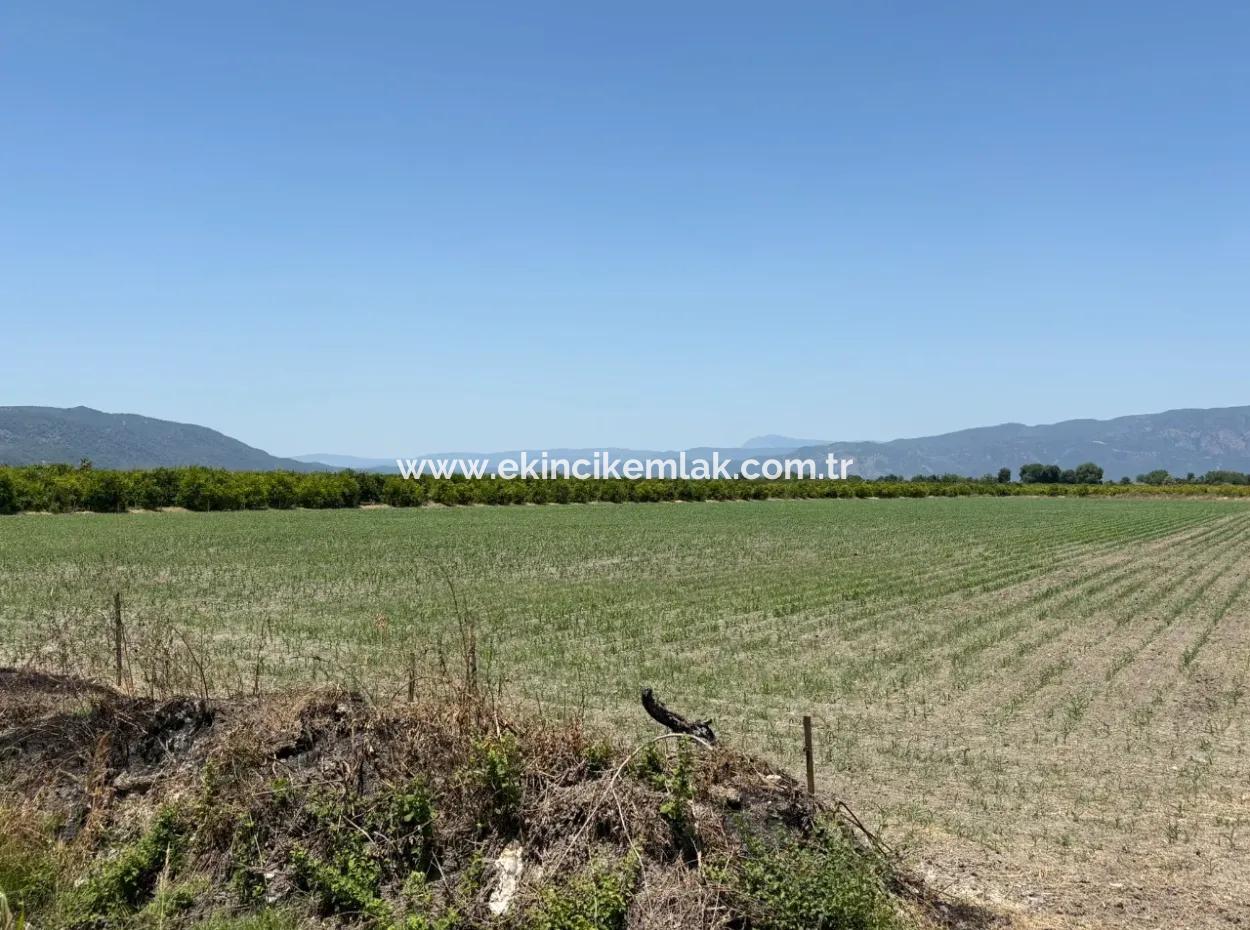 46,550M2 Land For Sale In Tepearası