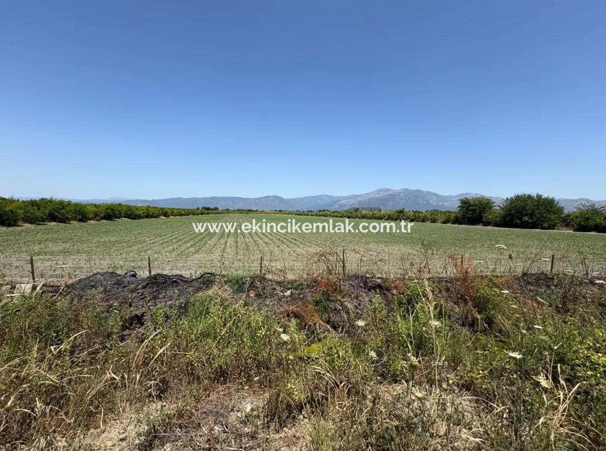 46,550M2 Land For Sale In Tepearası