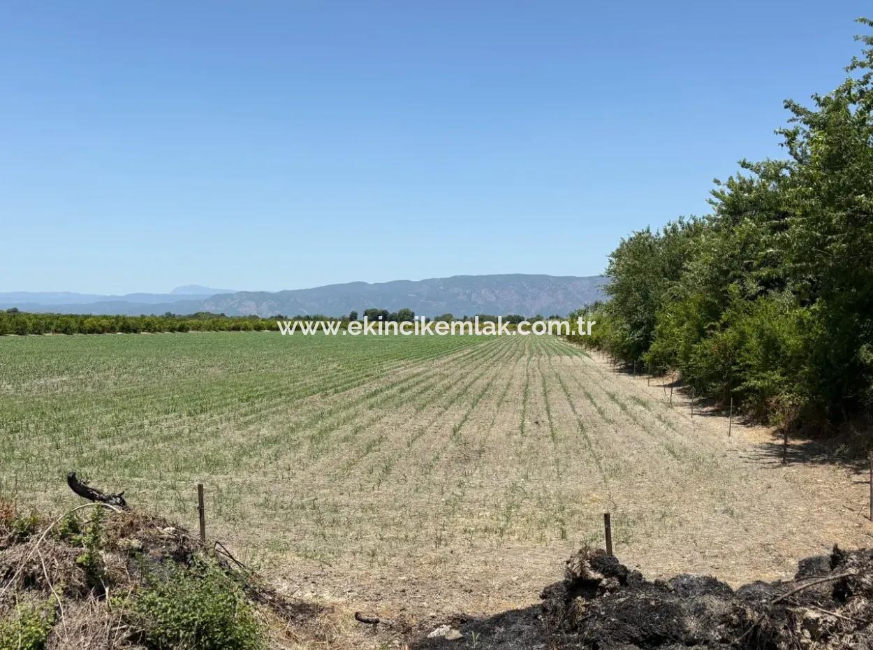 46,550M2 Land For Sale In Tepearası