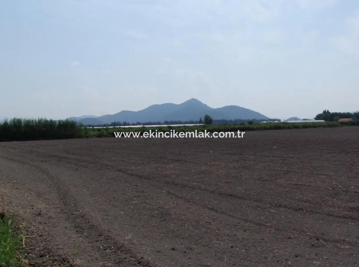 Farm For Sale In Dalyan Eskikoy Eskikoy Oriya 14,900M2 Plot For Sale Field