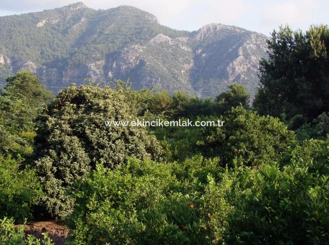 Near The Centre Of Dalyan In Dalyan Plot For Sale For Sale 987M2