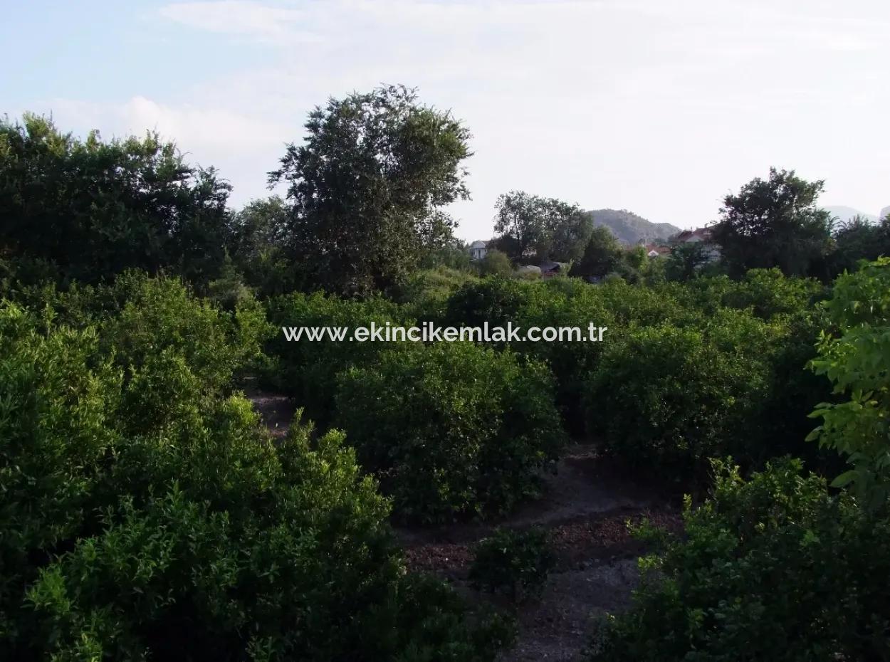 Near The Centre Of Dalyan In Dalyan Plot For Sale For Sale 987M2