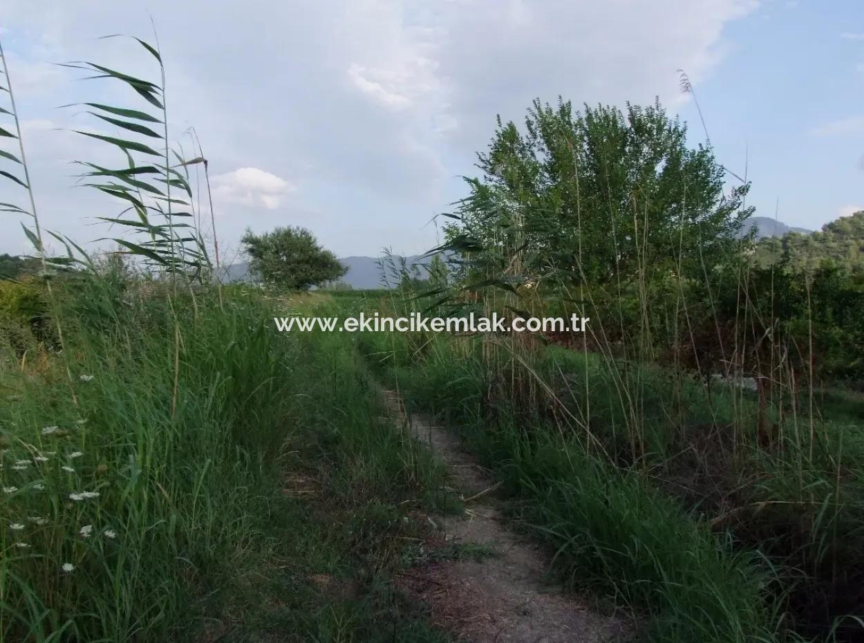 Farm For Sale Near The Centre Of Dalyan,14, 612M2 Farm For Sale