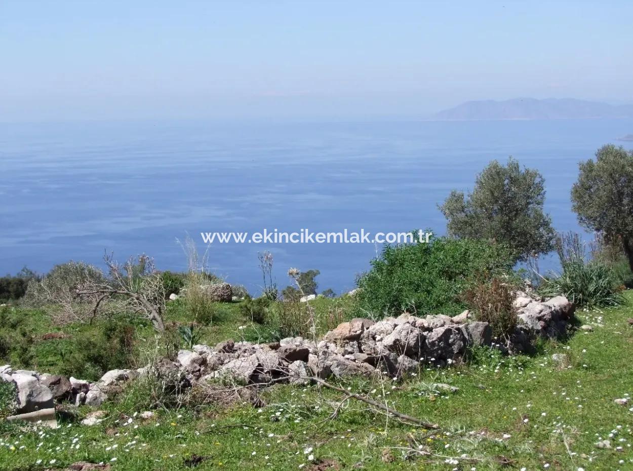 For Sale In Faralya Faralya With Sea View And 11,286M2 Land For Sale Tourism