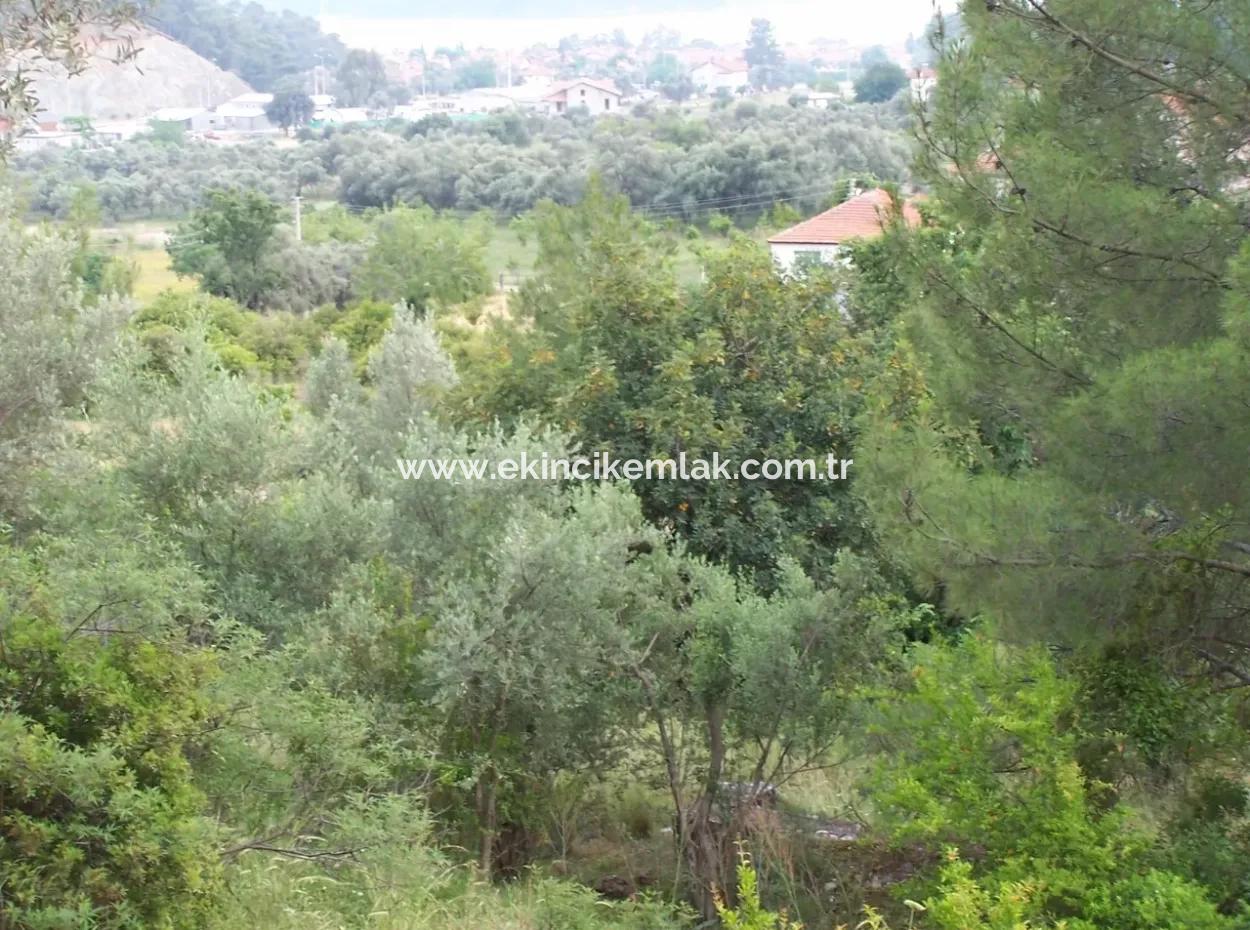 Land For Sale In Gocek, Gocek For Sale With Full Sea View