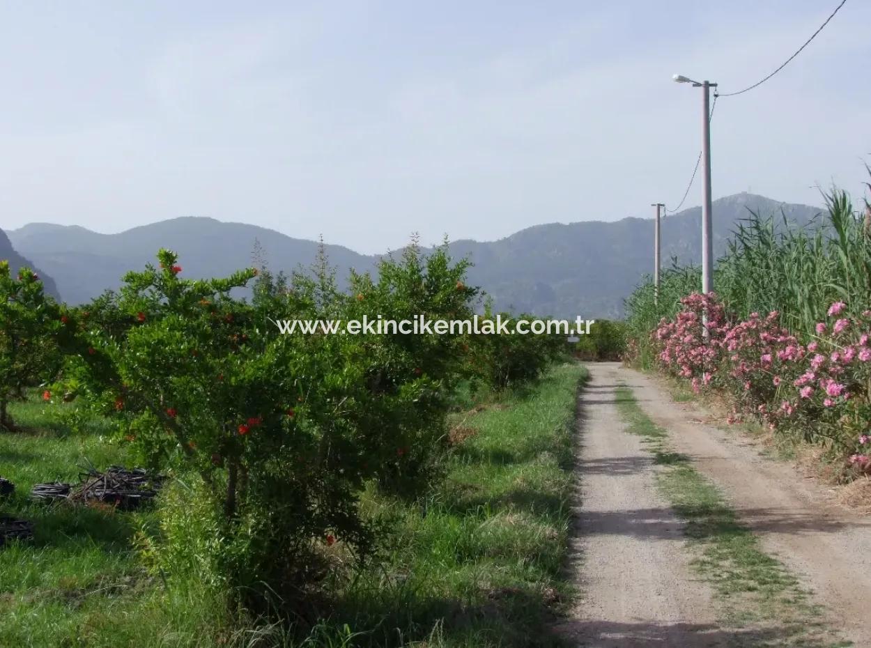 Merkez Dalyan Iztuzu Lake Garden Villa For Sale