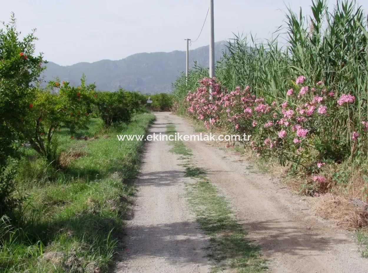 Merkez Dalyan Iztuzu Lake Garden Villa For Sale
