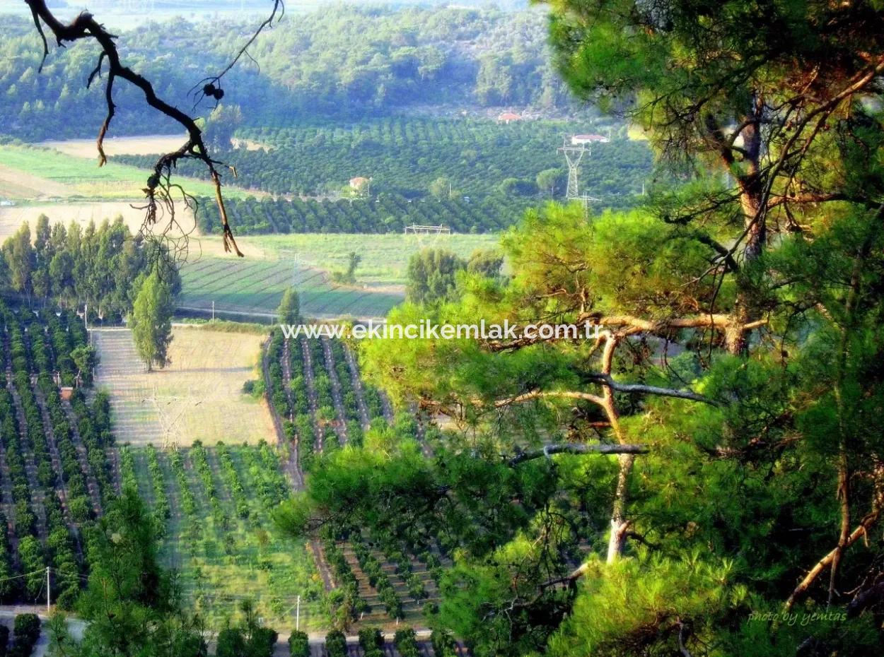 Gökçe Gökçe 21671M2 Farm For Sale For Sale