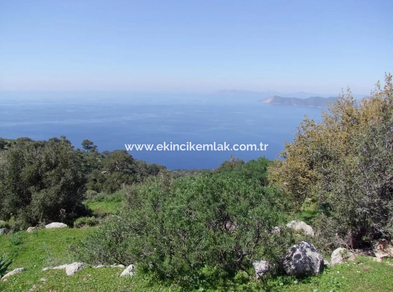 Land For Sale In Faralya With Full Sea View For Sale