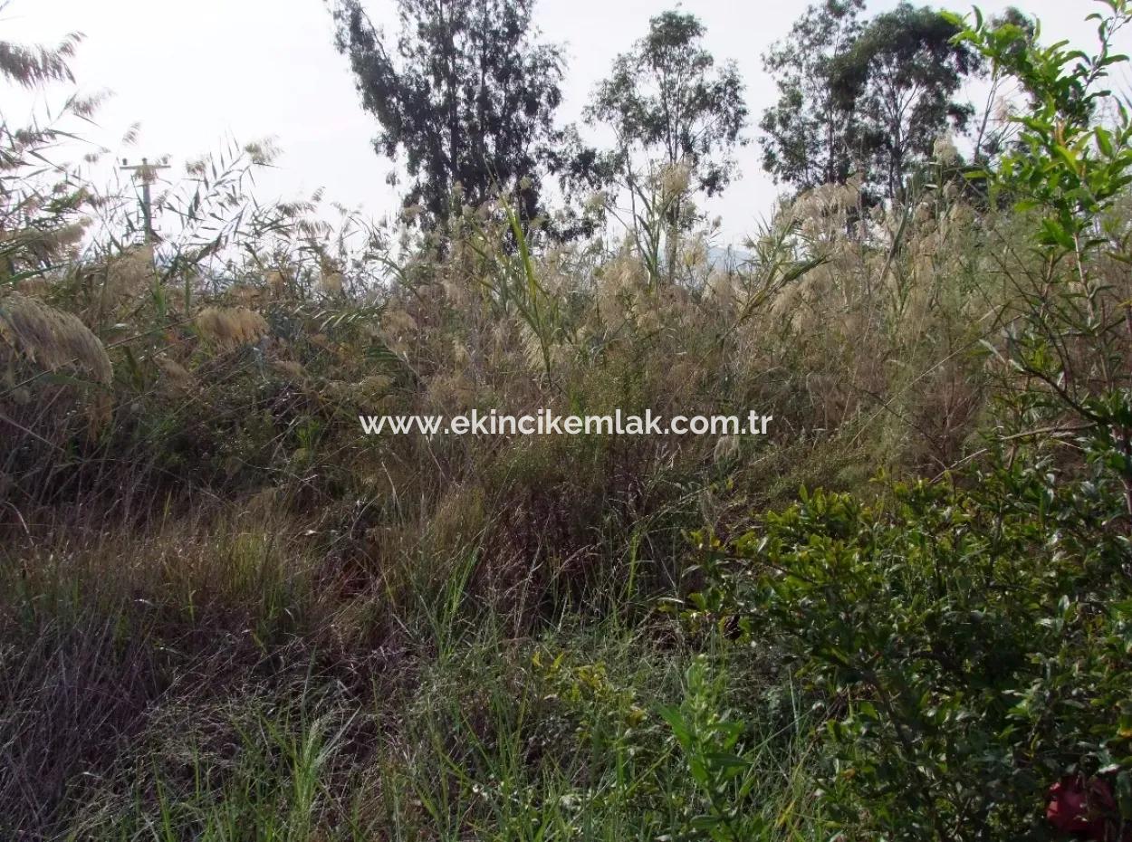 For Sale Land In Dalyan For Sale Dalyan Channel Zero