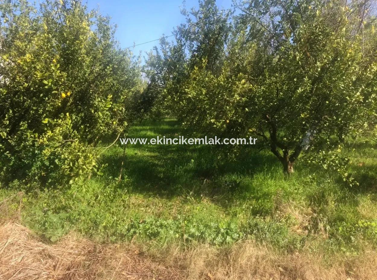 Raiders 803M2 Land For Sale In Plot For Sale