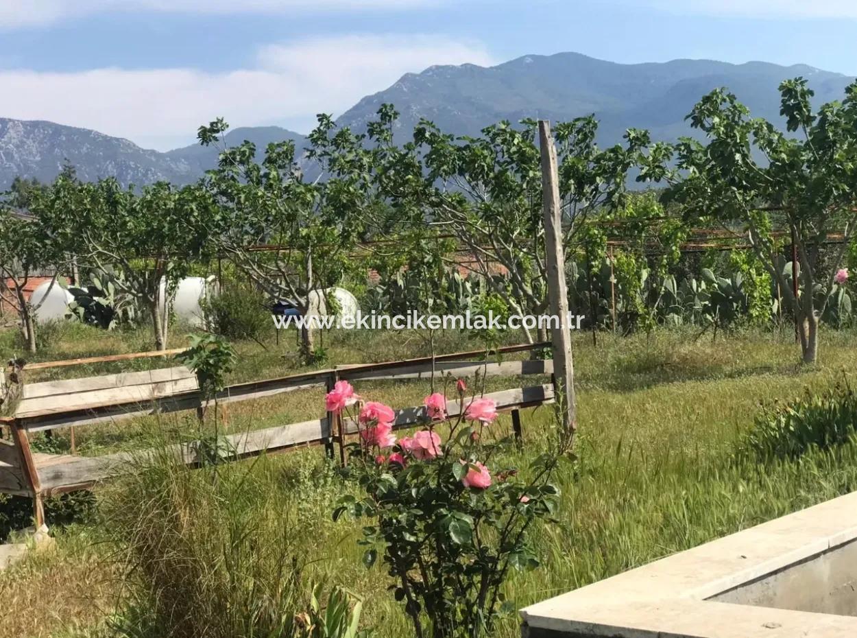 Land For Sale In Seydikemer Korubuku 76000M2