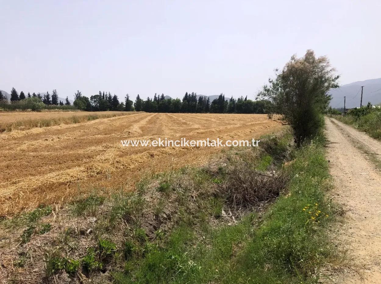 Farm Land For Sale 39 Acres In Eskikoy