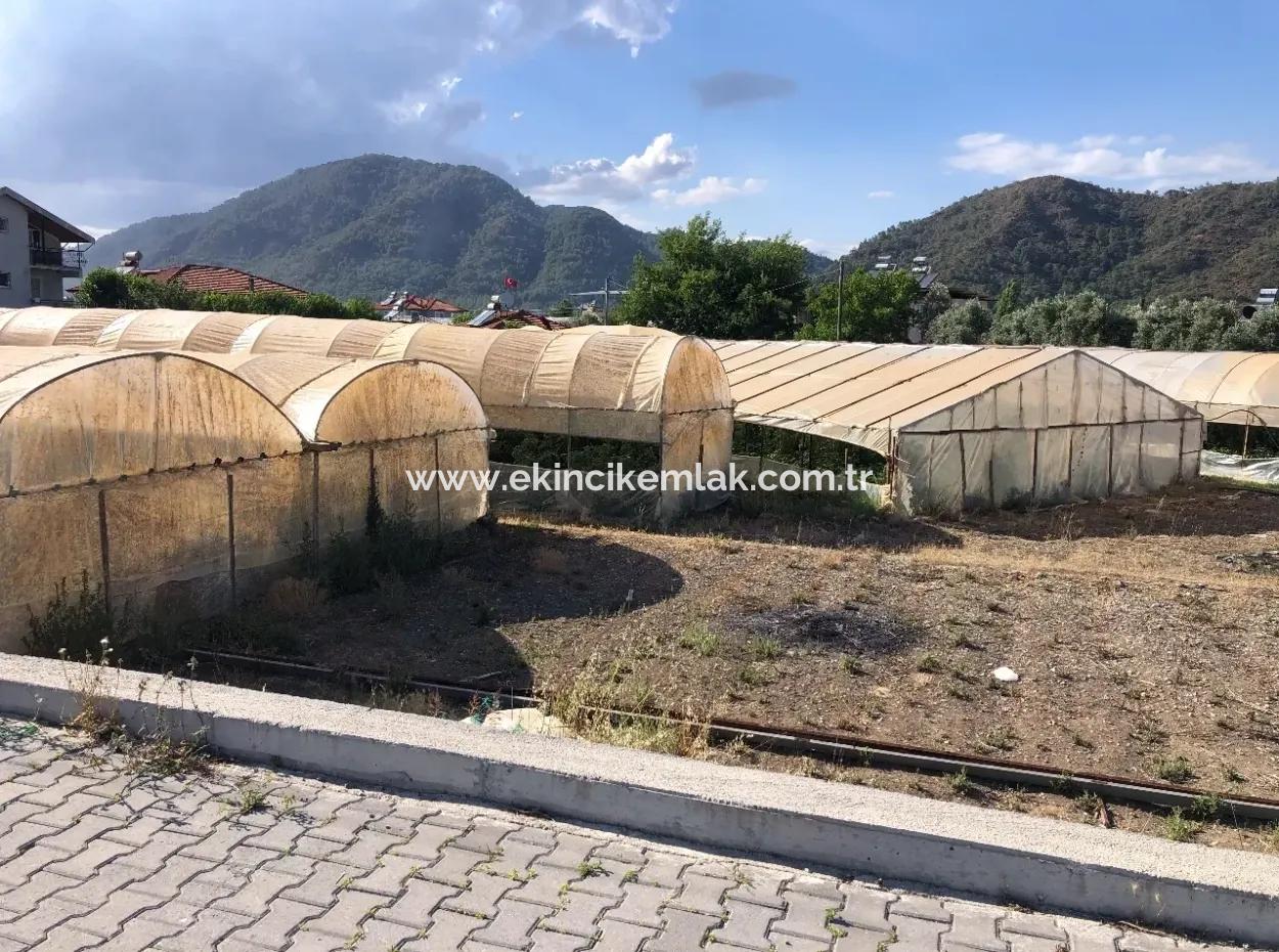 Oriya 560 560 Sq Ft Plot For Sale Commercial Land Main Road For Sale Eksiliyurt Zero