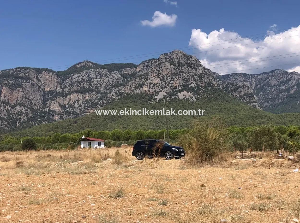11.227M2 Land For Sale With Lake Views In Köyceğiz Zeytinalanı