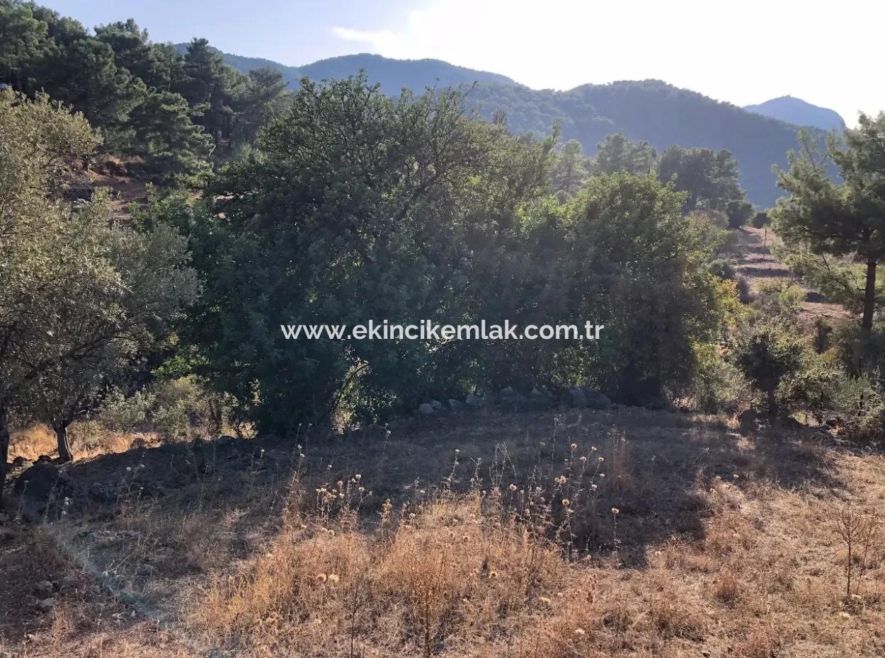 Gökbel Land For Sale 1000M2 Land For Sale With Sea Views