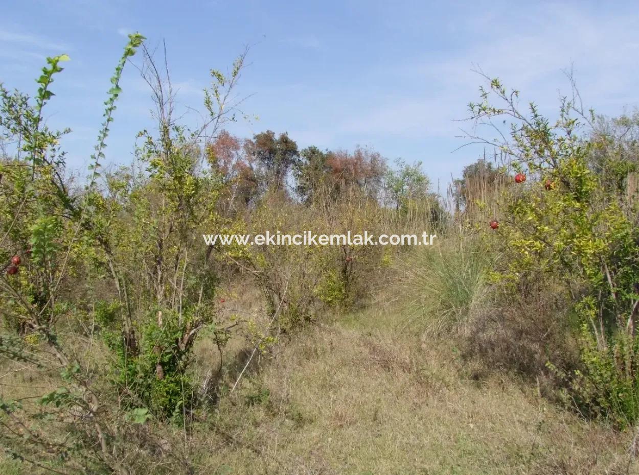 Güzelyurt Land For Sale Village Built 6670M2 Land For Sale