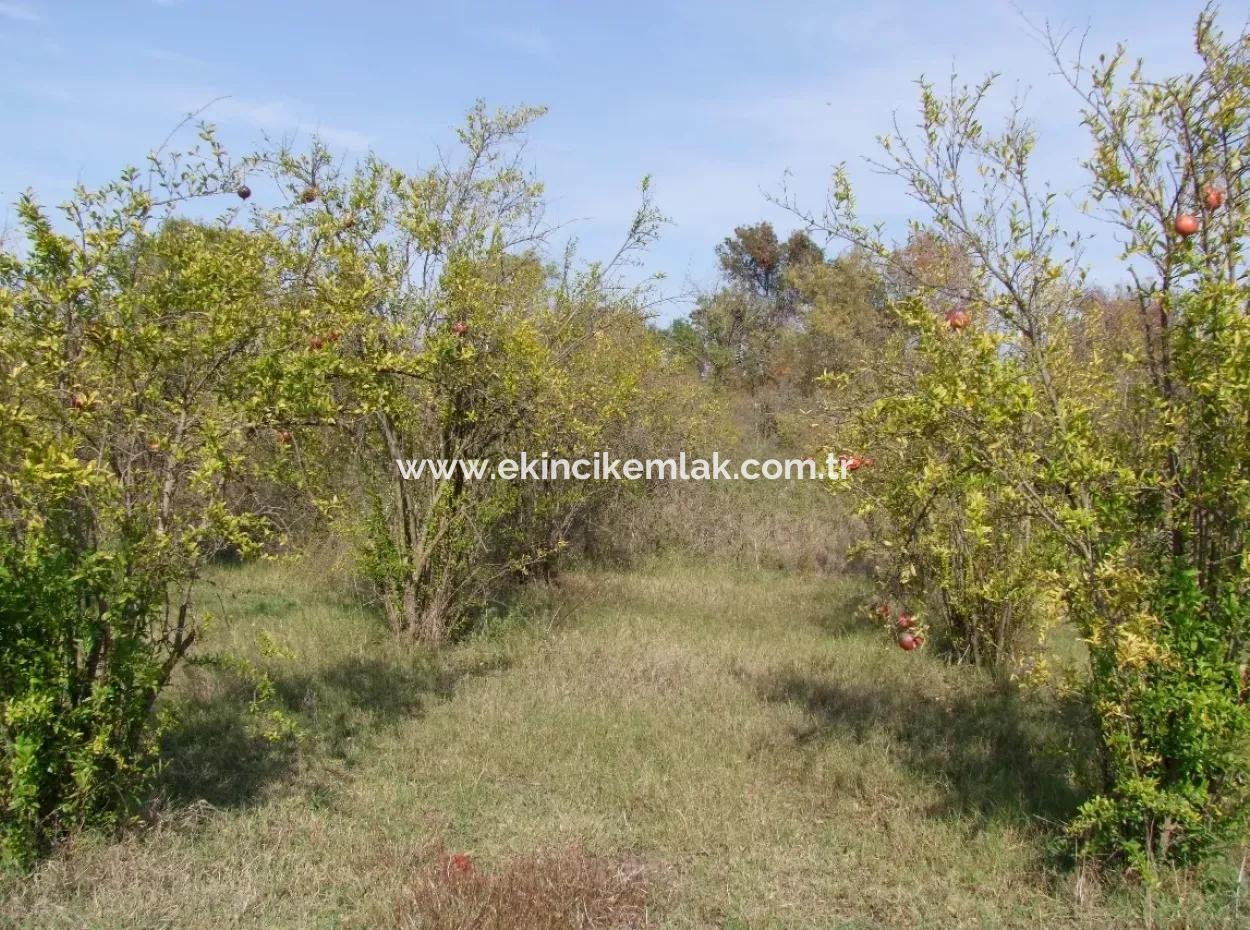 Güzelyurt Land For Sale Village Built 6670M2 Land For Sale