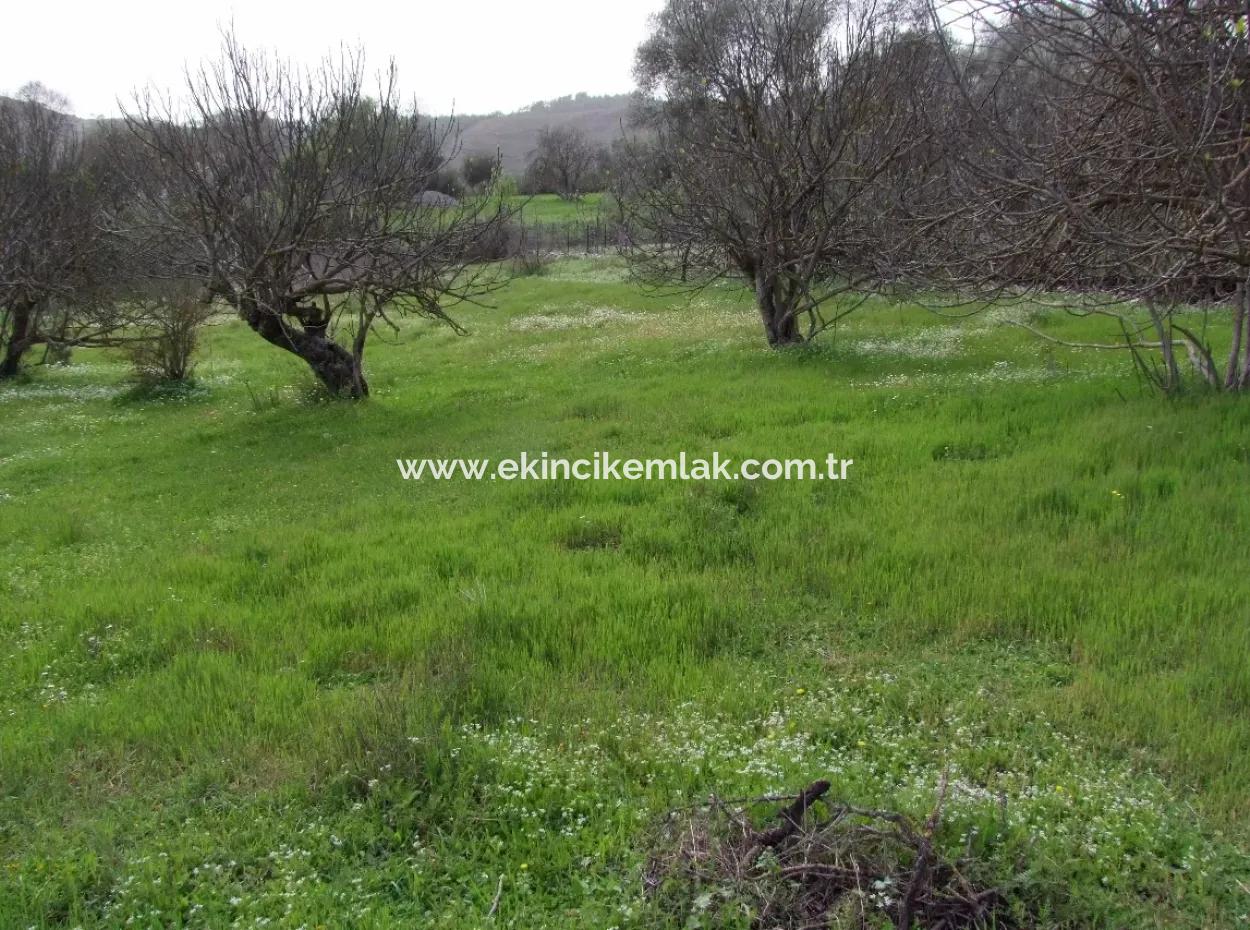 In Incirkoy Uzumlu Fethiye Plot For Sale Farm For Sale In Incirkoy