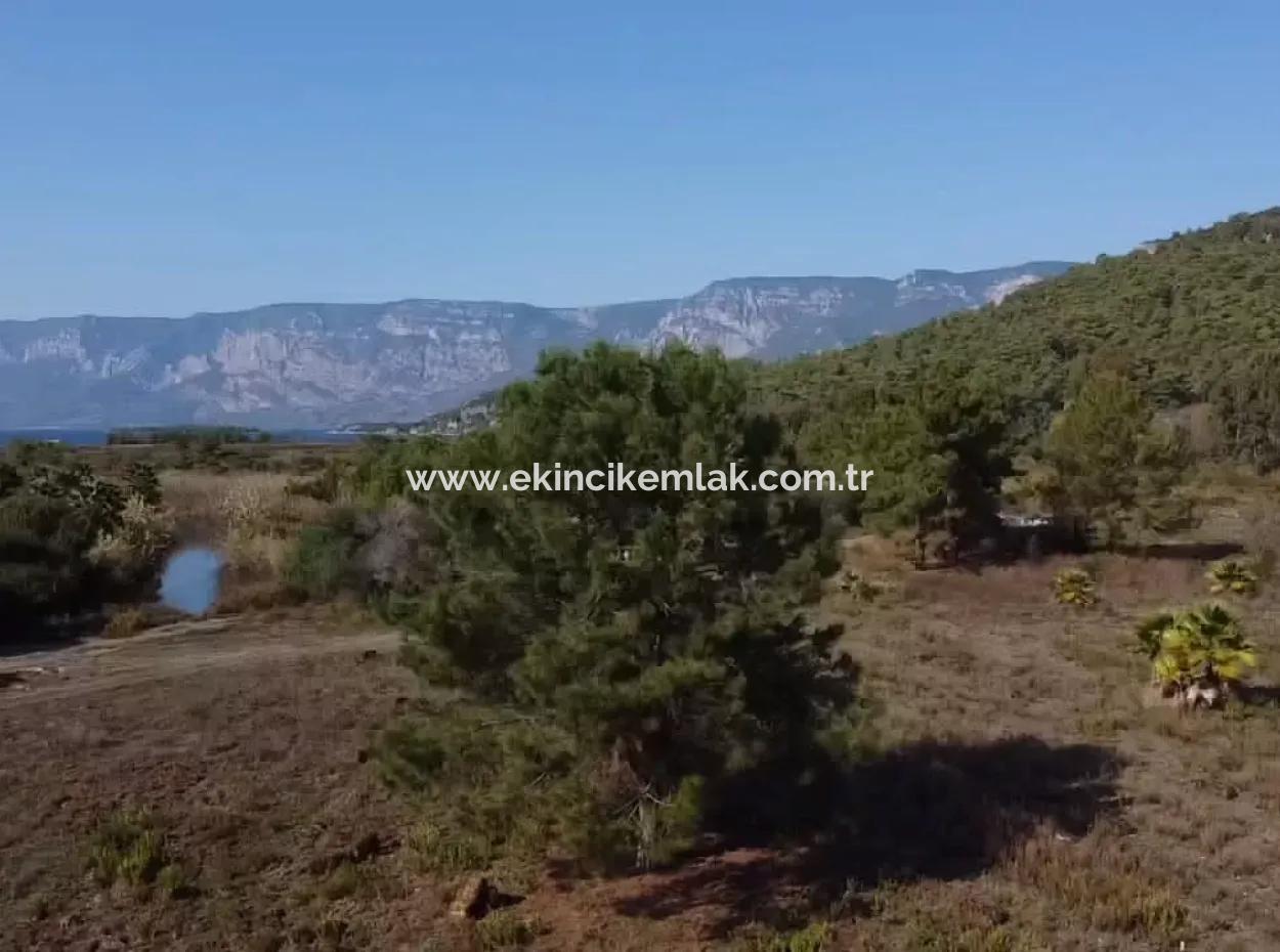 Land Land For Sale In Çamlıda Marmaris Çamlıda Sea View 11720M2 Land For Sale