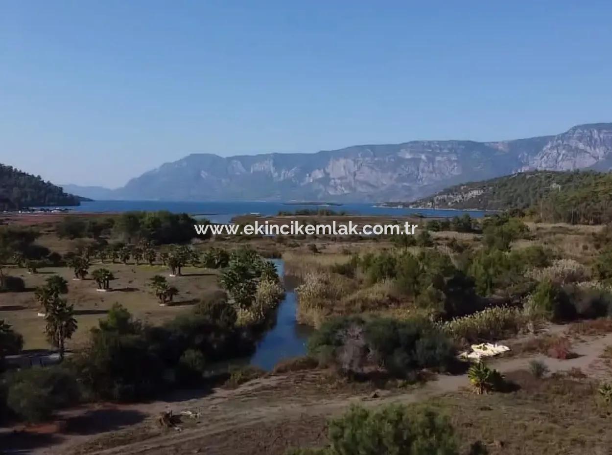 Land Land For Sale In Çamlıda Marmaris Çamlıda Sea View 11720M2 Land For Sale