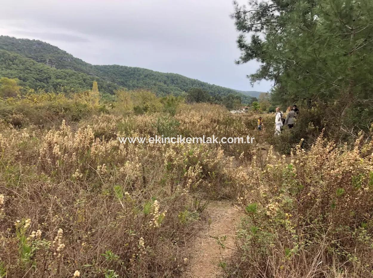 Land  For Sale Zero To Çamlı Canal 28768M2 Land For Sale With Sea View In Camlida