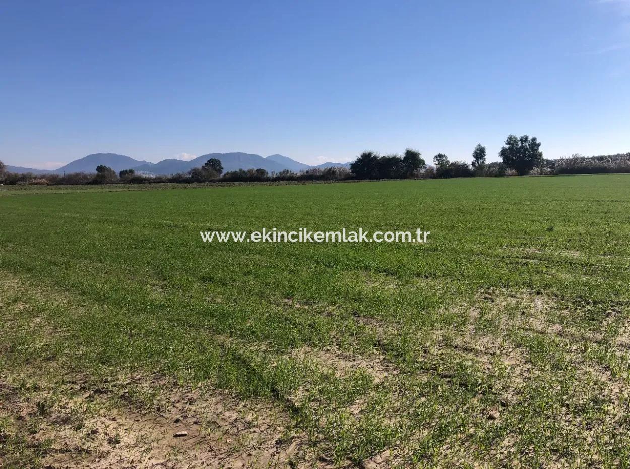 Land For Sale In Sarıgermede 30,000M2 Land For Sale With Sea View